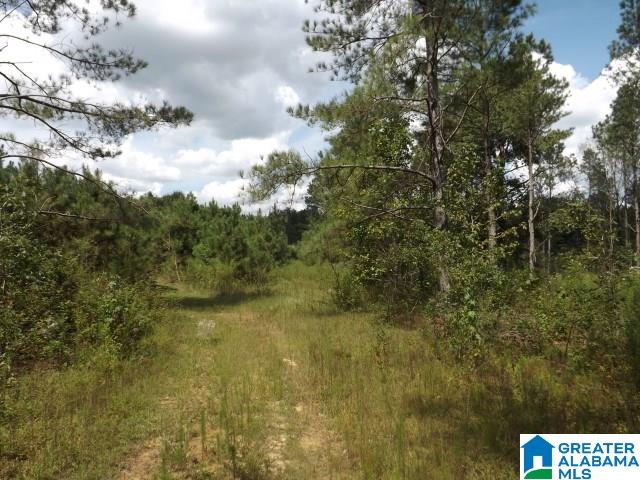 435 Wow Road, Unit 59 Blountsville, AL 35031 - Photo 37 of 49