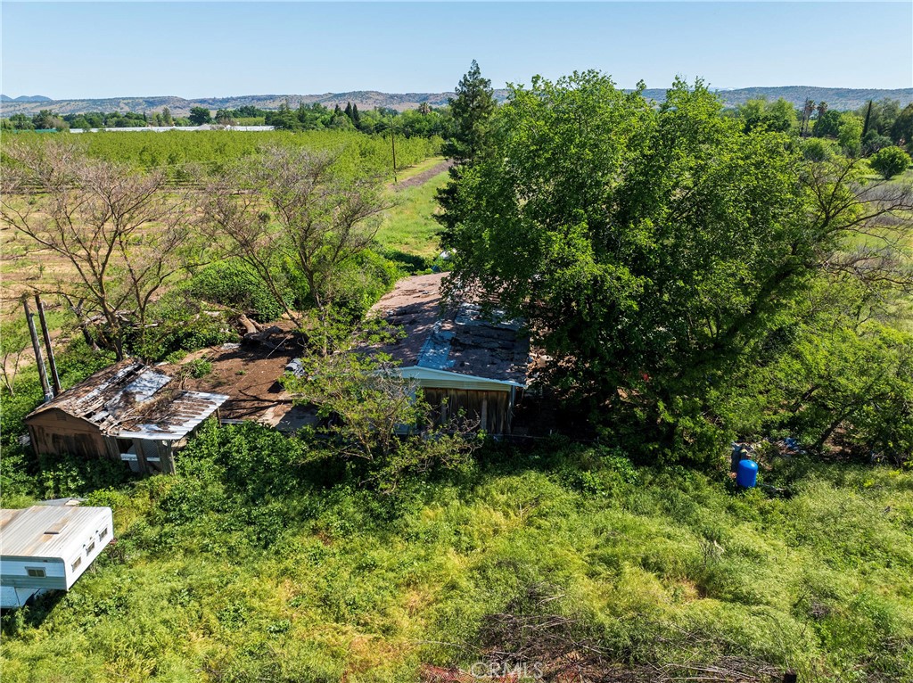 11775 State Highway Red Bluff, CA 96080 - Photo 12 of 23 a backyard of a house with lots of green space and lake view
