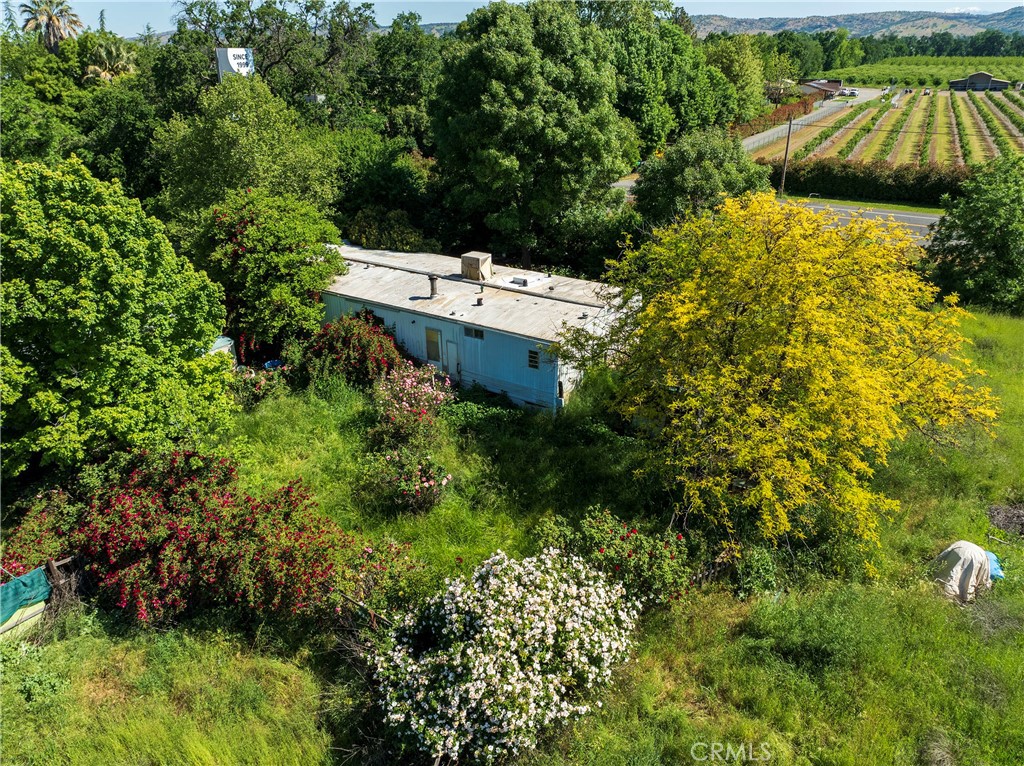 11775 State Highway Red Bluff, CA 96080 - Photo 13 of 23 a view of a house with a yard