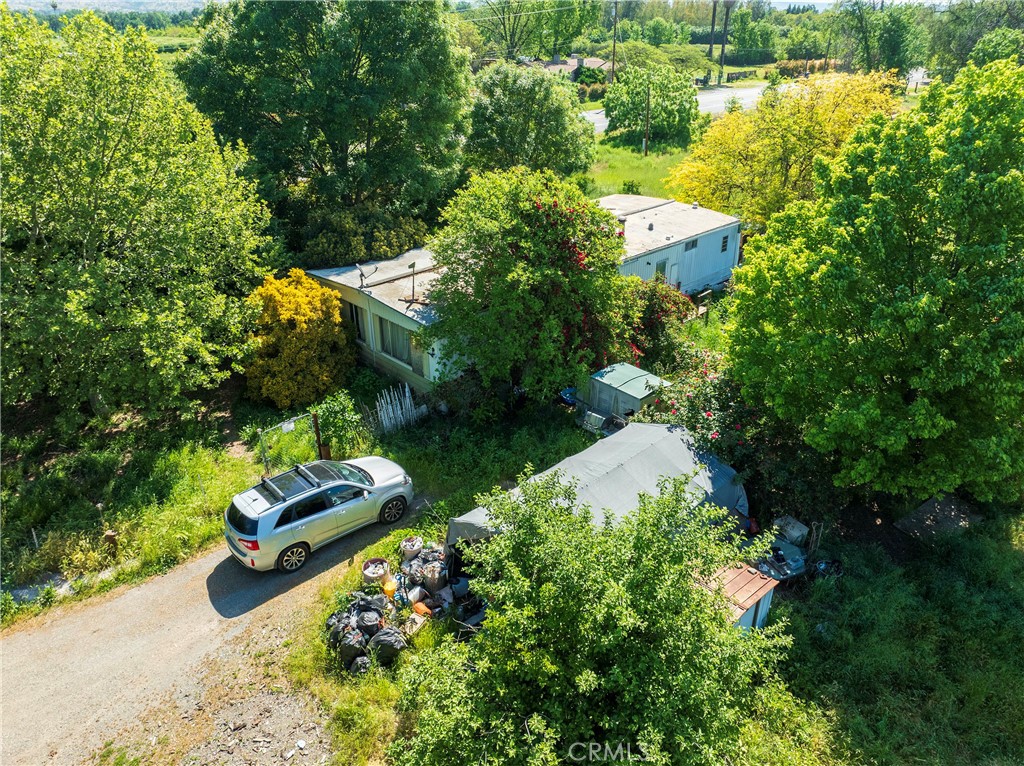 11775 State Highway Red Bluff, CA 96080 - Photo 14 of 23 a garden view with a lake view
