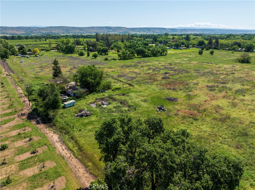 11775 State Highway Red Bluff, CA 96080 - Photo 7 of 23 a view of a green field