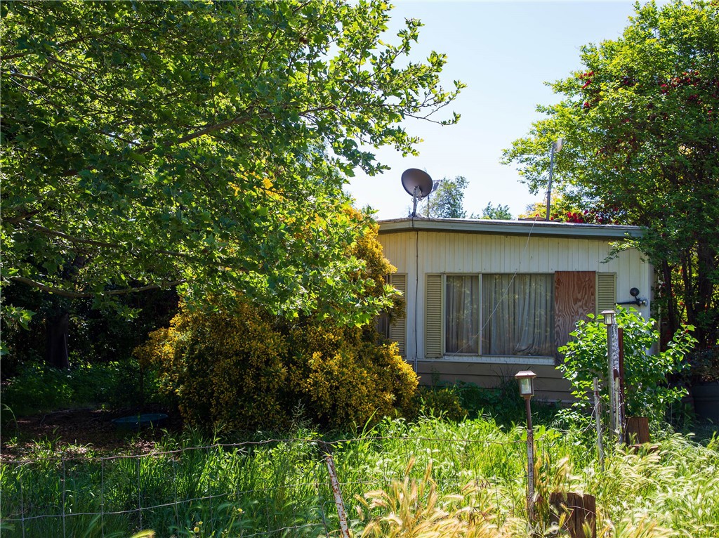 11775 State Highway Red Bluff, CA 96080 - Photo 9 of 23 a view of garden with plants