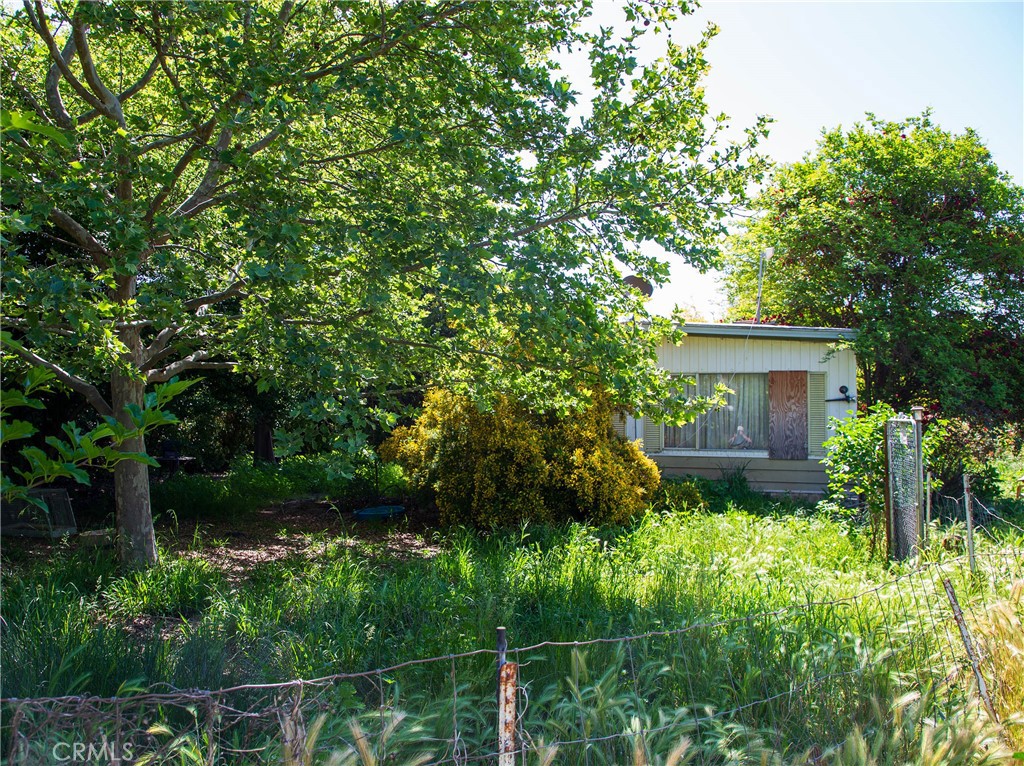 11775 State Highway Red Bluff, CA 96080 - Photo 10 of 23 a view of house with a yard and potted plants