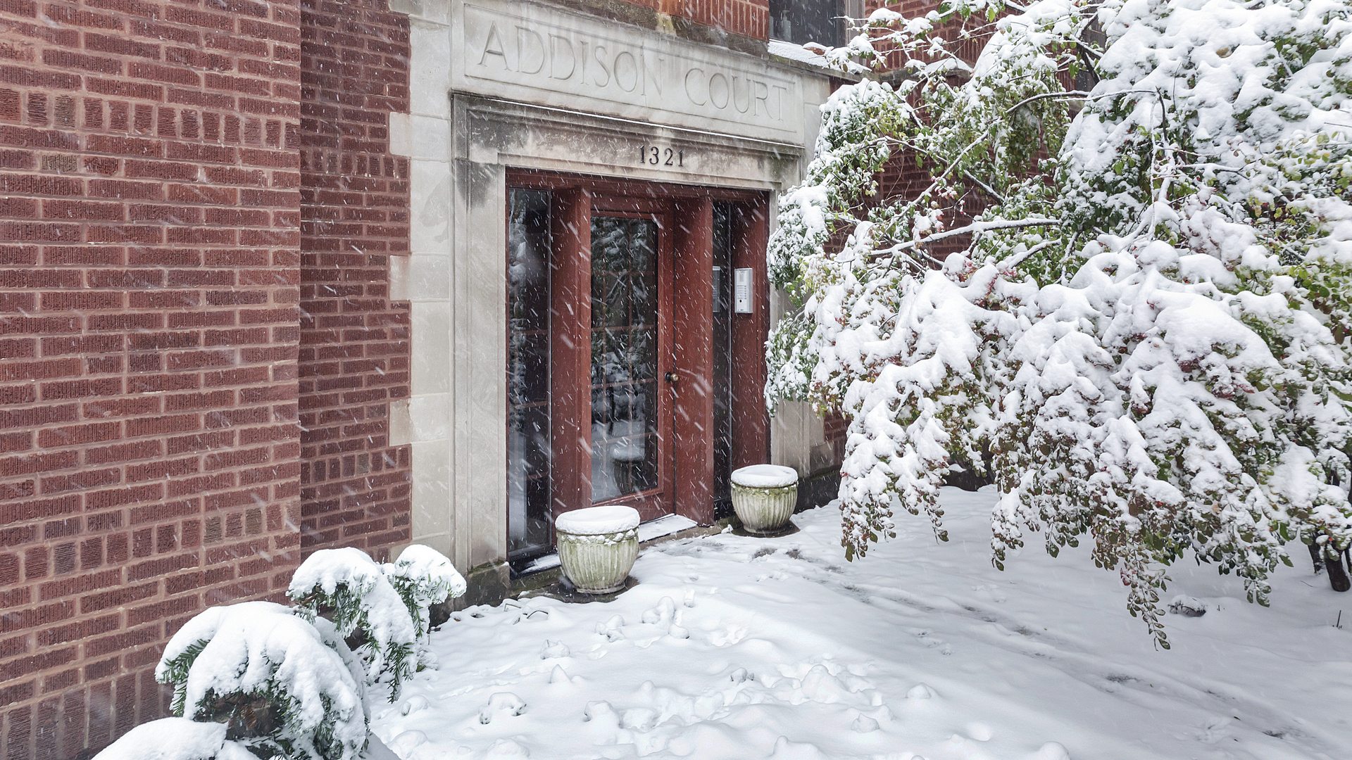 a view of a wooden door and two windows