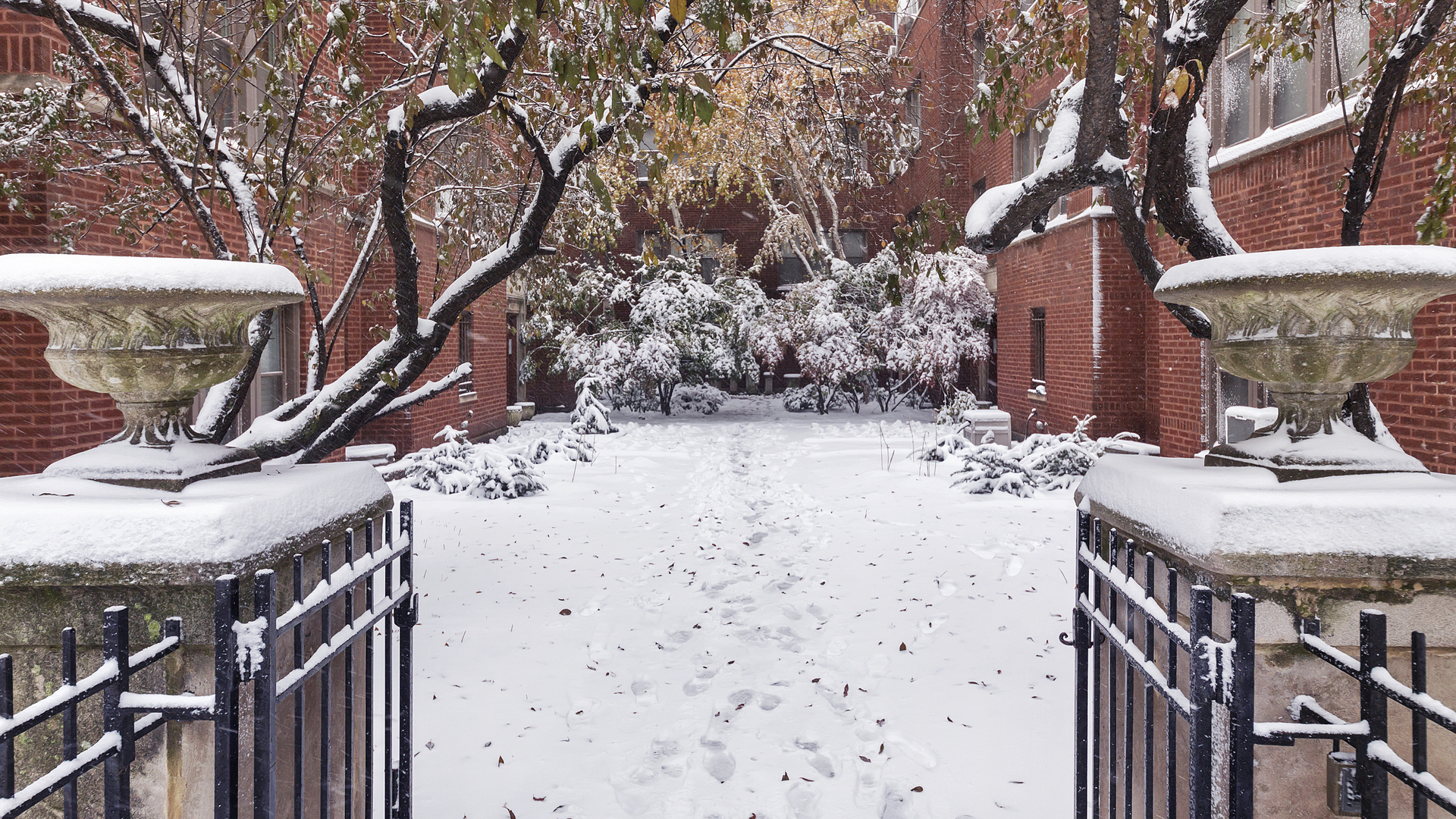 1321 West Addison Street, Unit 2A Chicago, IL 60613 - Photo 2 of 17 a view of a backyard with a snow