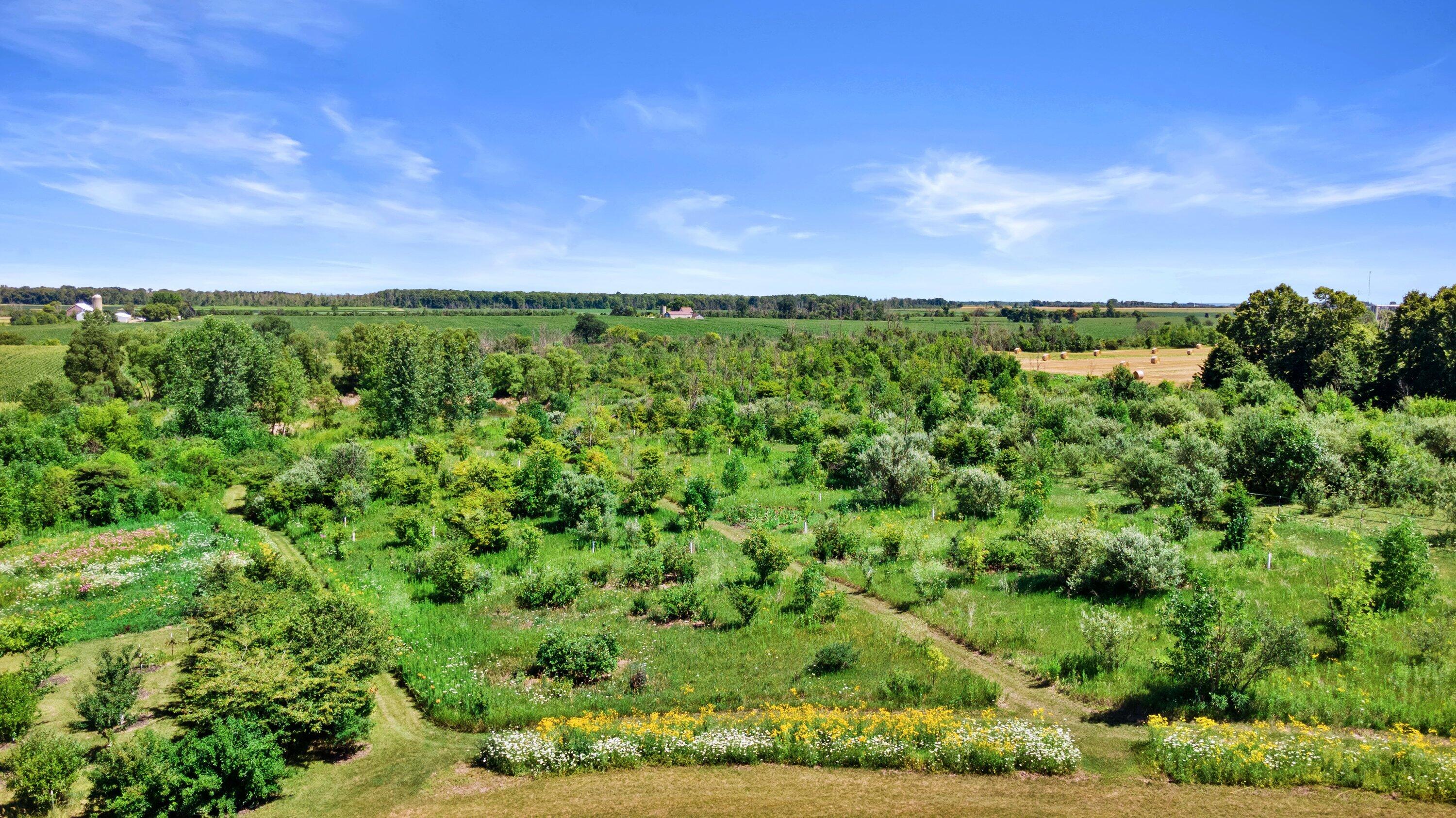 5102 6 Mile Road Belgium, WI 53004 - Photo 20 of 74 lush permaculture landscaping