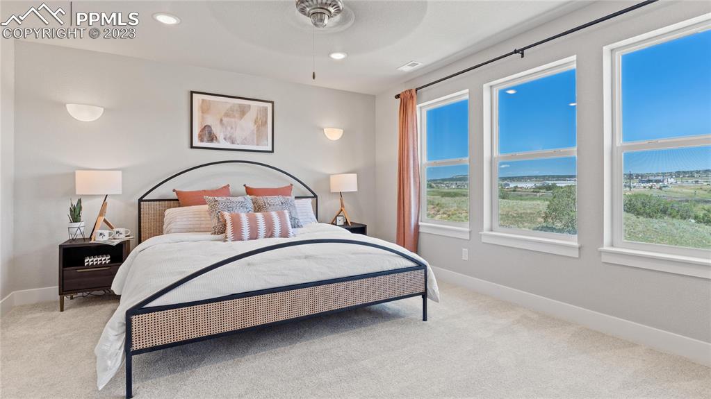 2174 Coyote Mint Drive Monument, CO 80132 - Photo 12 of 50 a bed sitting in a bedroom next to a window