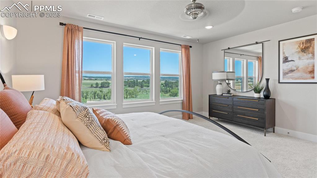 2174 Coyote Mint Drive Monument, CO 80132 - Photo 15 of 50 a bedroom with a bed and a dresser next to a window
