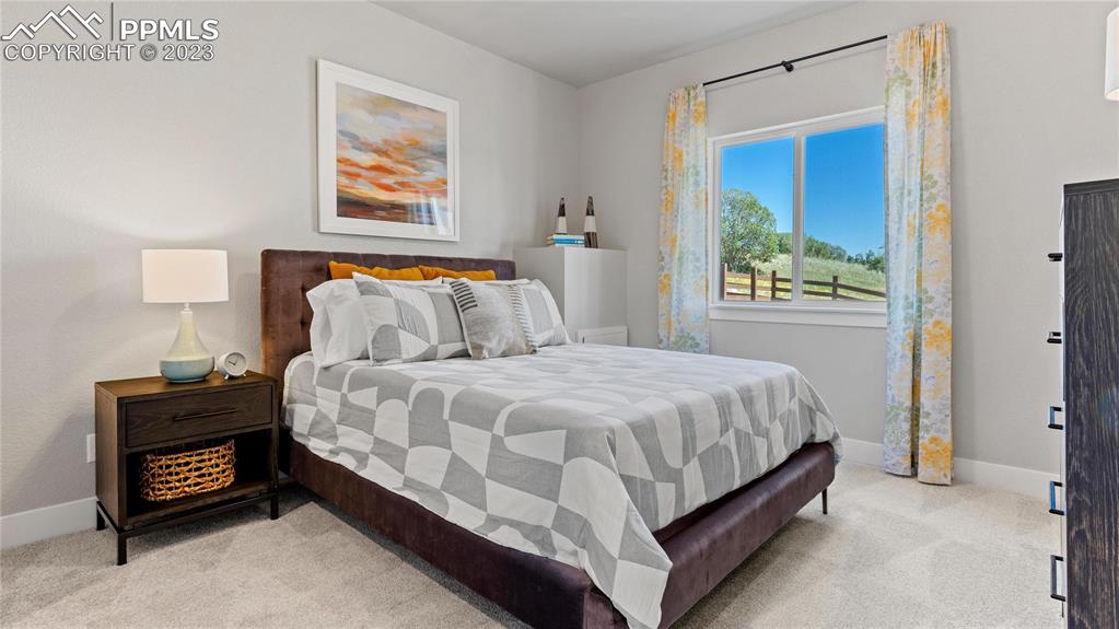 2174 Coyote Mint Drive Monument, CO 80132 - Photo 19 of 50 a bed sitting in a bedroom next to a window