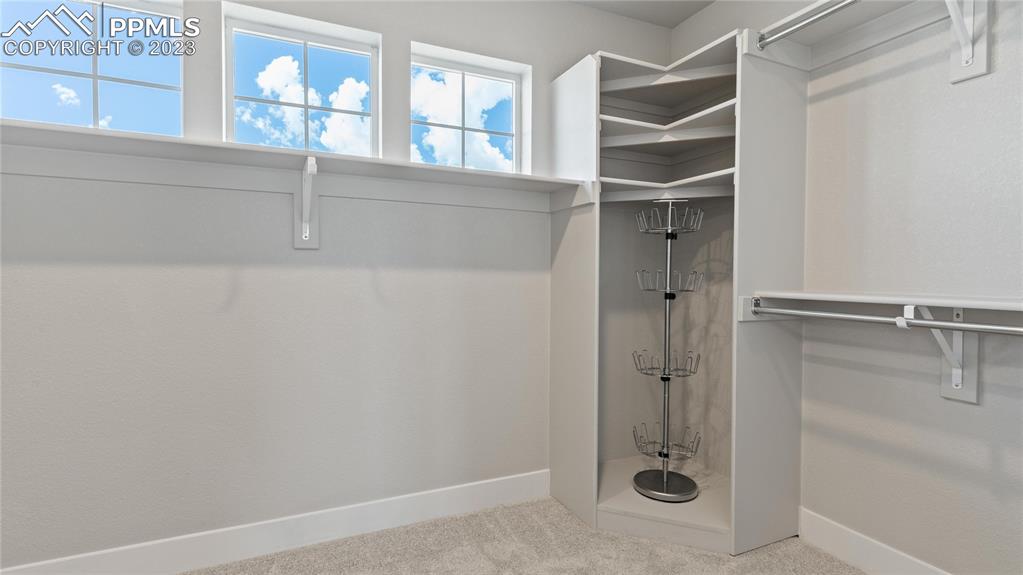 2174 Coyote Mint Drive Monument, CO 80132 - Photo 7 of 50 a bathroom with a glass shower door