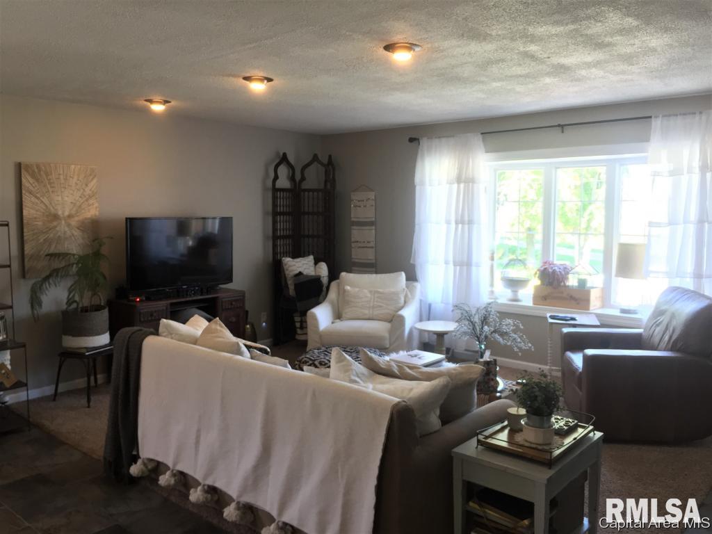 14350 Water Tower Road Buffalo, IL 62515 - Photo 3 of 36 Gallery Image 3
