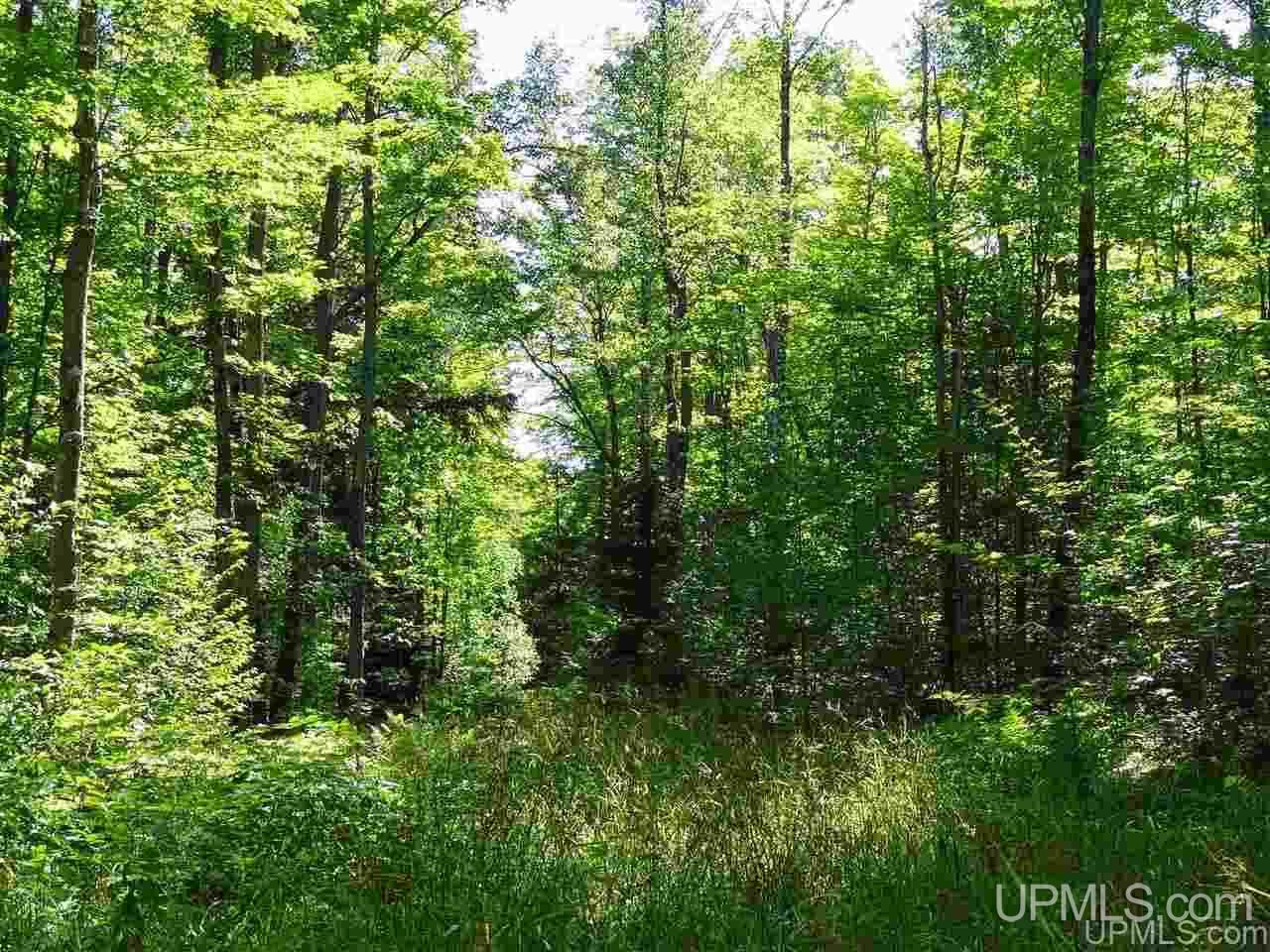 21660 Newberry Road Pelkie, MI 49958 - Photo 26 of 40