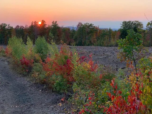 $359,000 | 4 Macie Drive, Unit 70, Standish, ME 04084