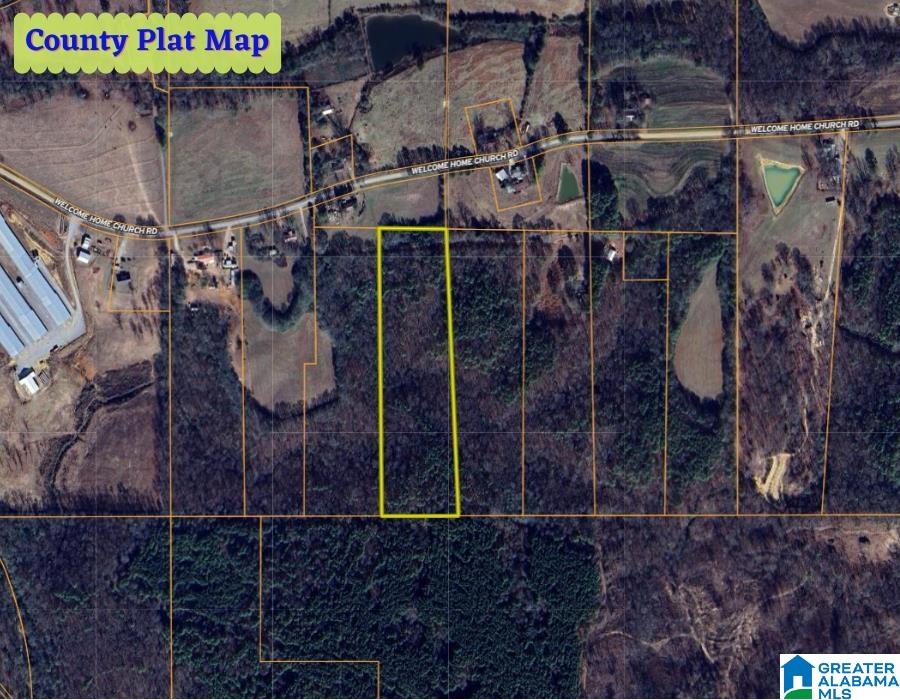 0 Welcome Home Church Road, Unit 1 Horton, AL 35980 - Photo 4 of 10