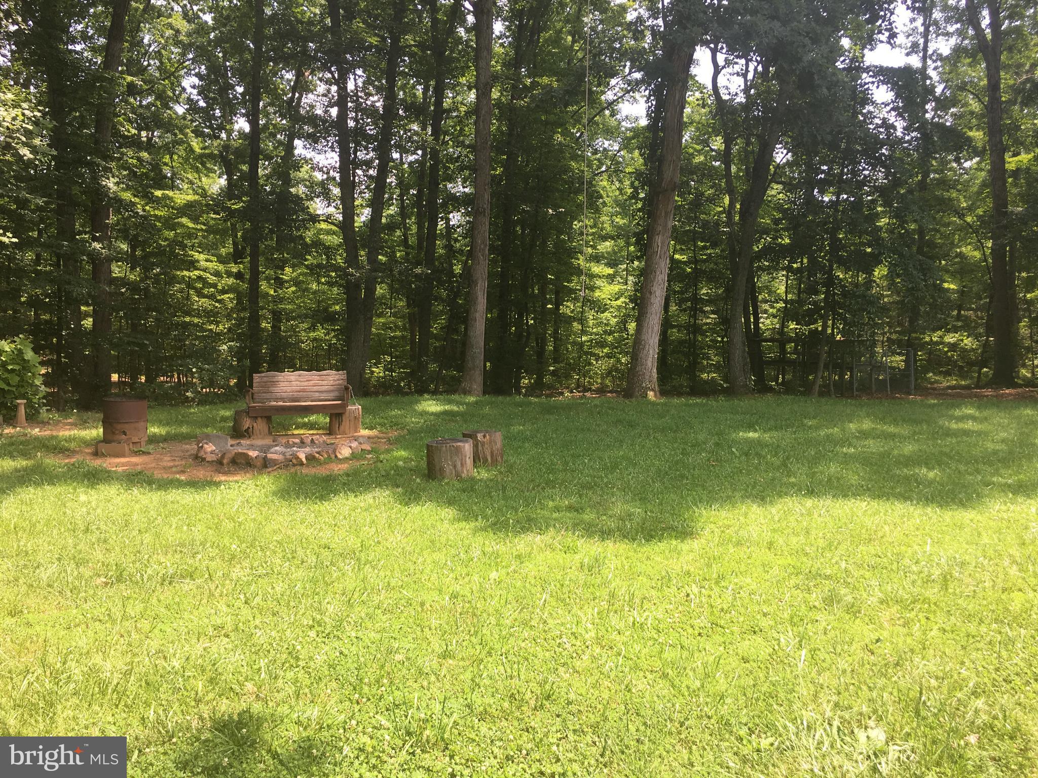 10233 Old Lawyers Road Rhoadesville, VA 22542 - Photo 4 of 20 View