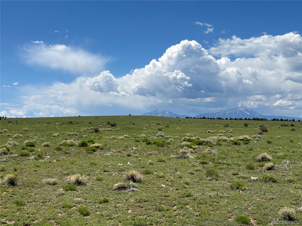 11 Tioga Ranch Walsenburg, CO 81089 - Photo 12 of 18 Gallery Image 12