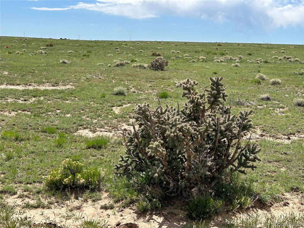11 Tioga Ranch Walsenburg, CO 81089 - Photo 16 of 18 Gallery Image 16