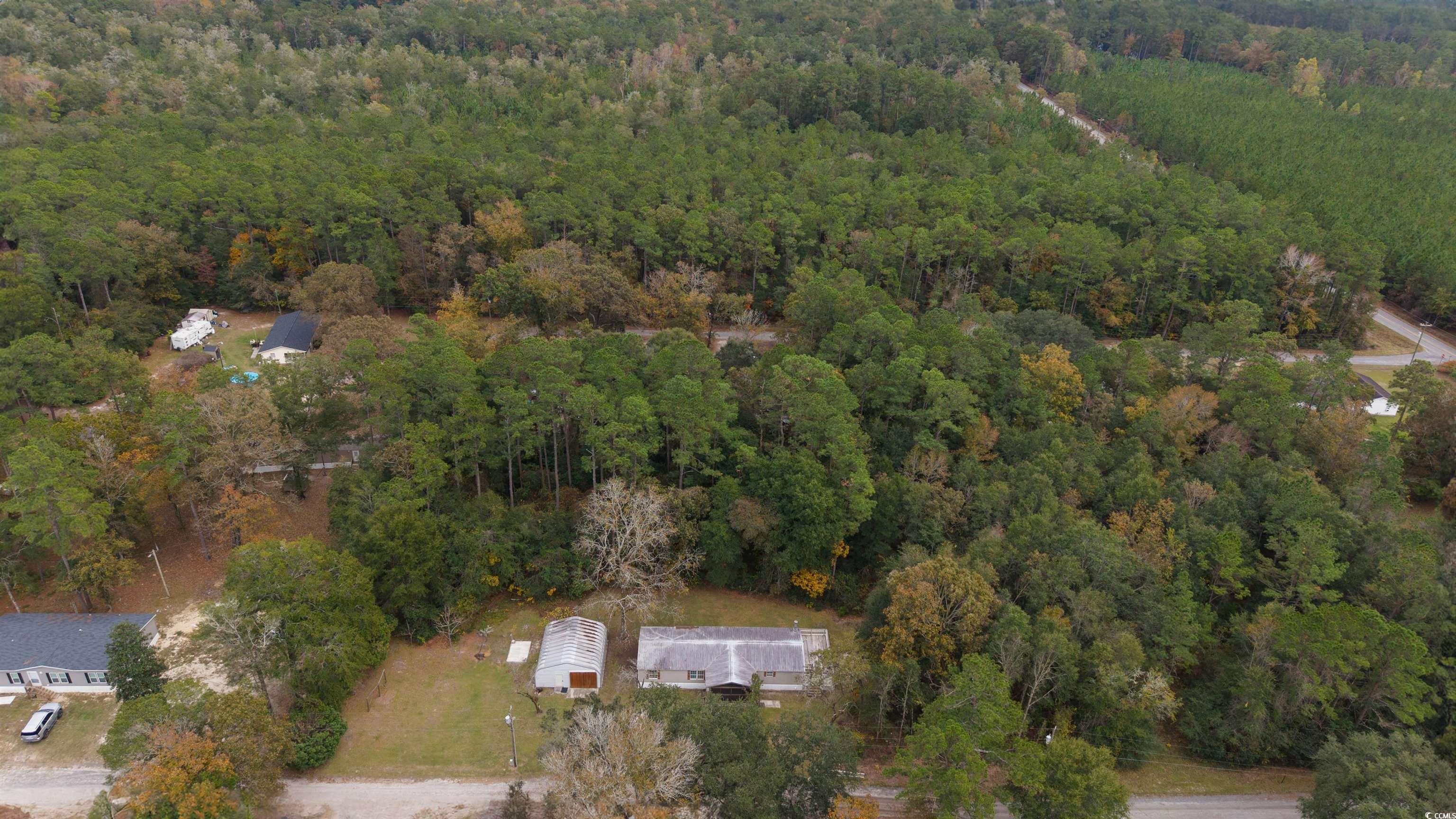 136 Vernon Way Hemingway, SC 29554 - Photo 37 of 39