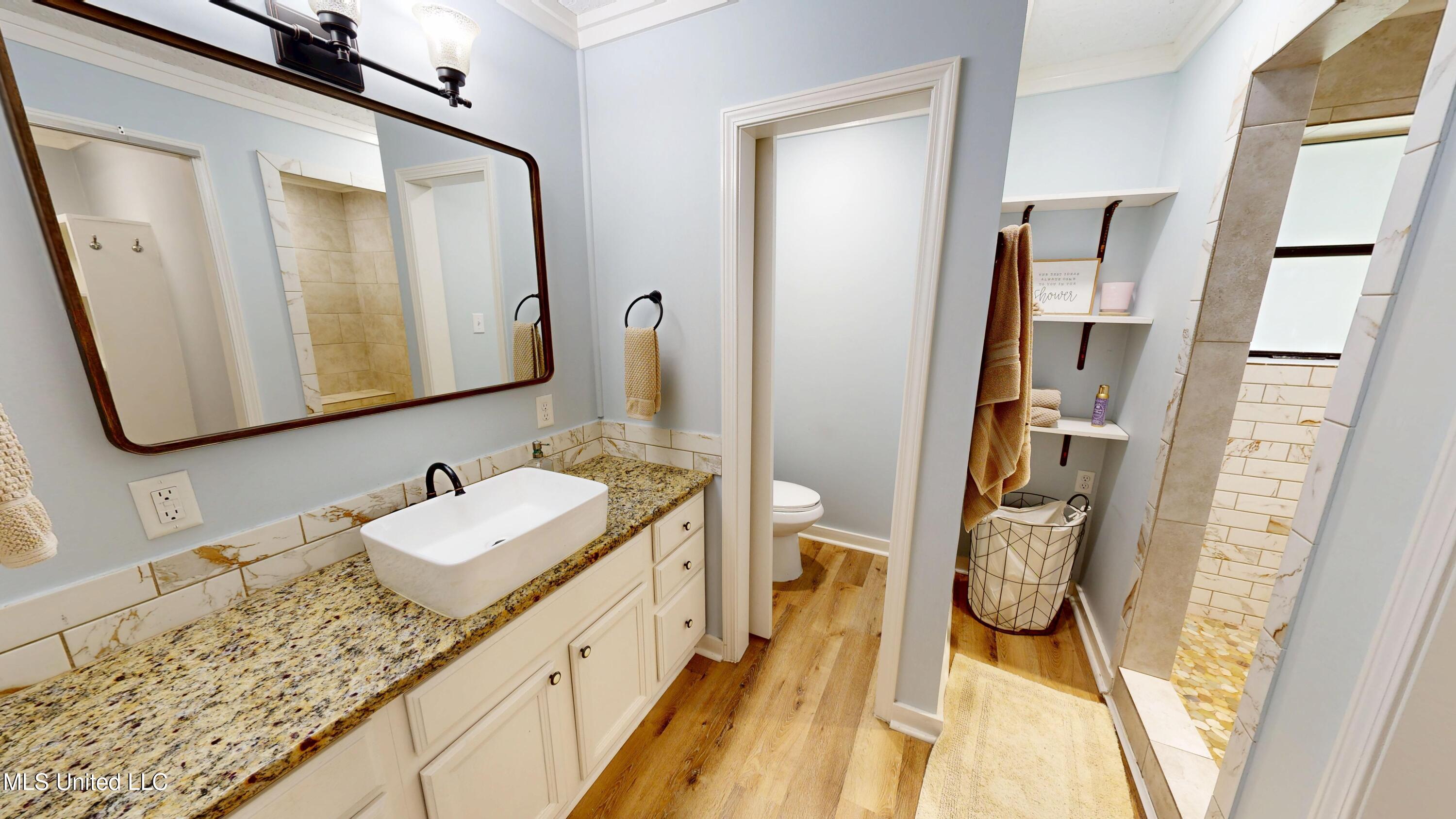 3501 Highway 305 Hernando, MS 38632 - Photo 49 of 75 Full bath down off the living area