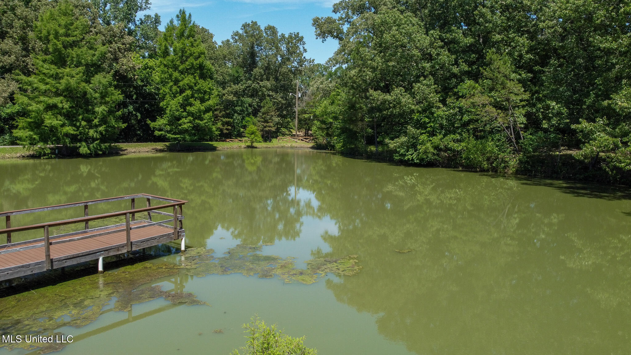 3501 Highway 305 Hernando, MS 38632 - Photo 60 of 75 Pond