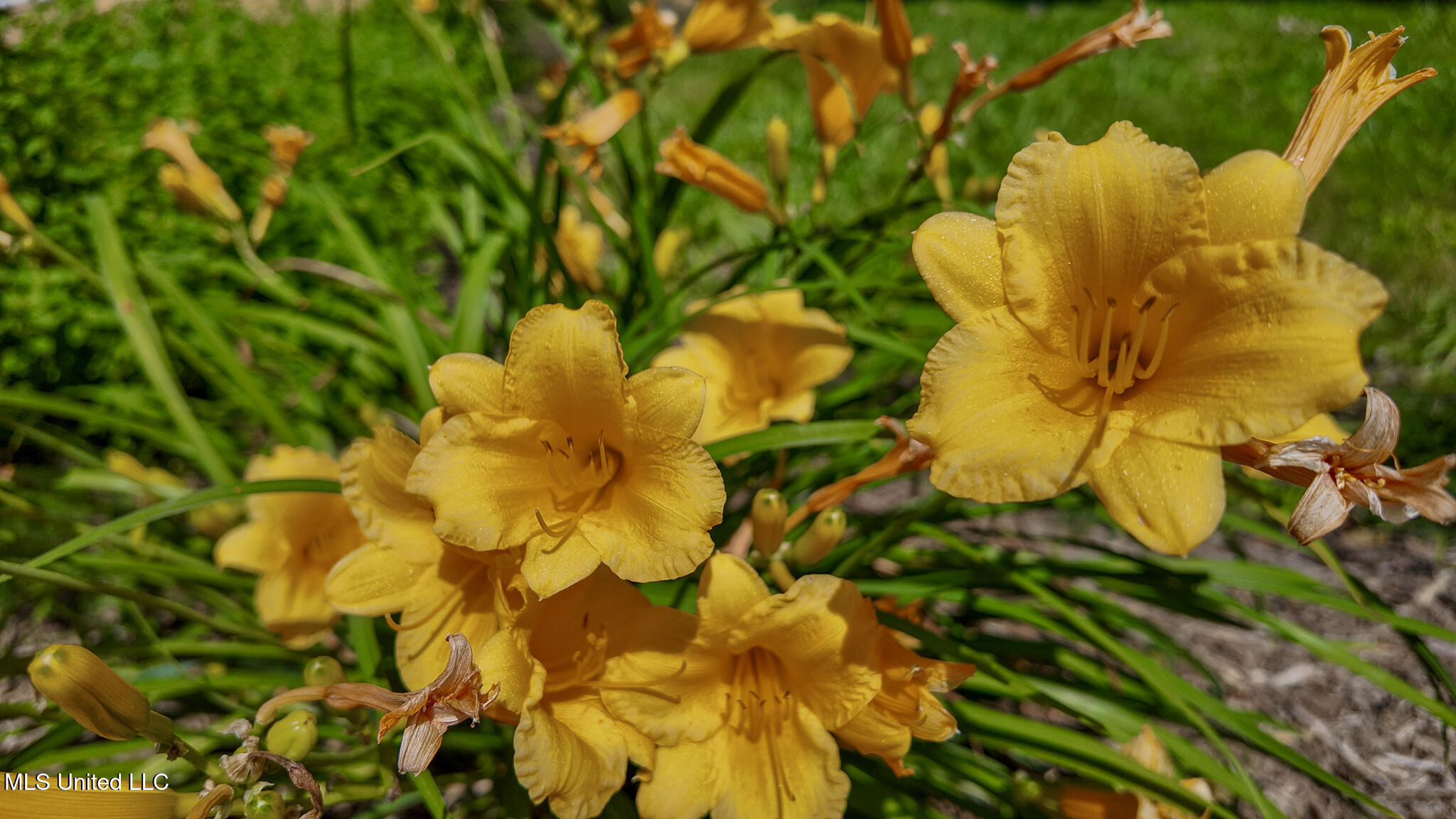 3501 Highway 305 Hernando, MS 38632 - Photo 73 of 75 3501 HWY 305