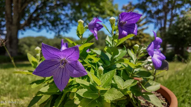 $594,900 | 3501 Highway 305, Hernando, MS 38632