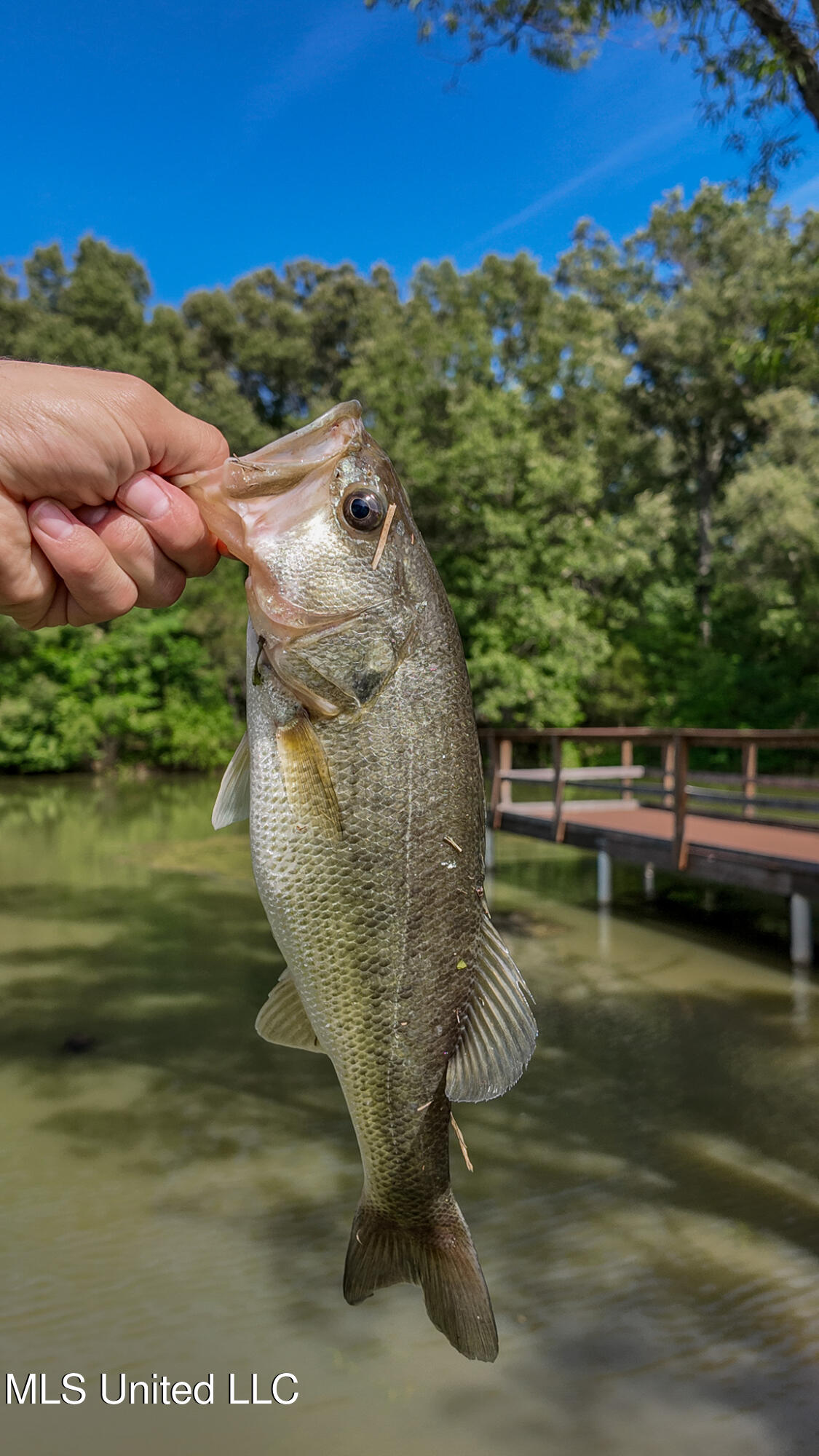3501 Highway 305 Hernando, MS 38632 - Photo 75 of 75 3501 HWY 305