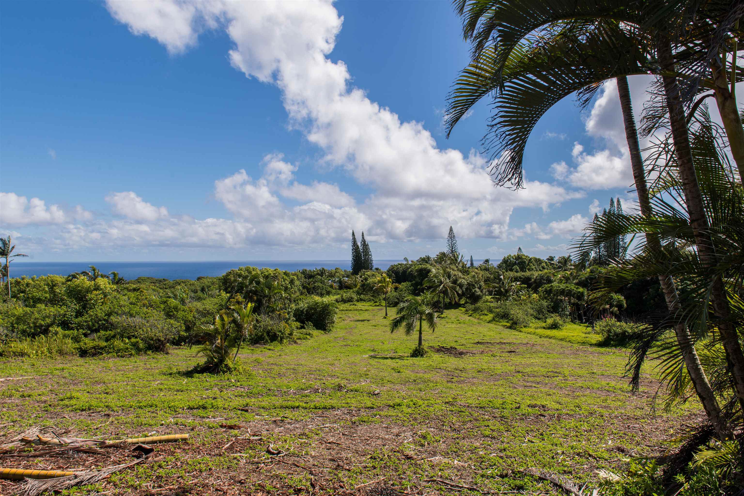 601 North Honokala Road, Unit A Haiku, HI 96708 - Photo 15 of 26