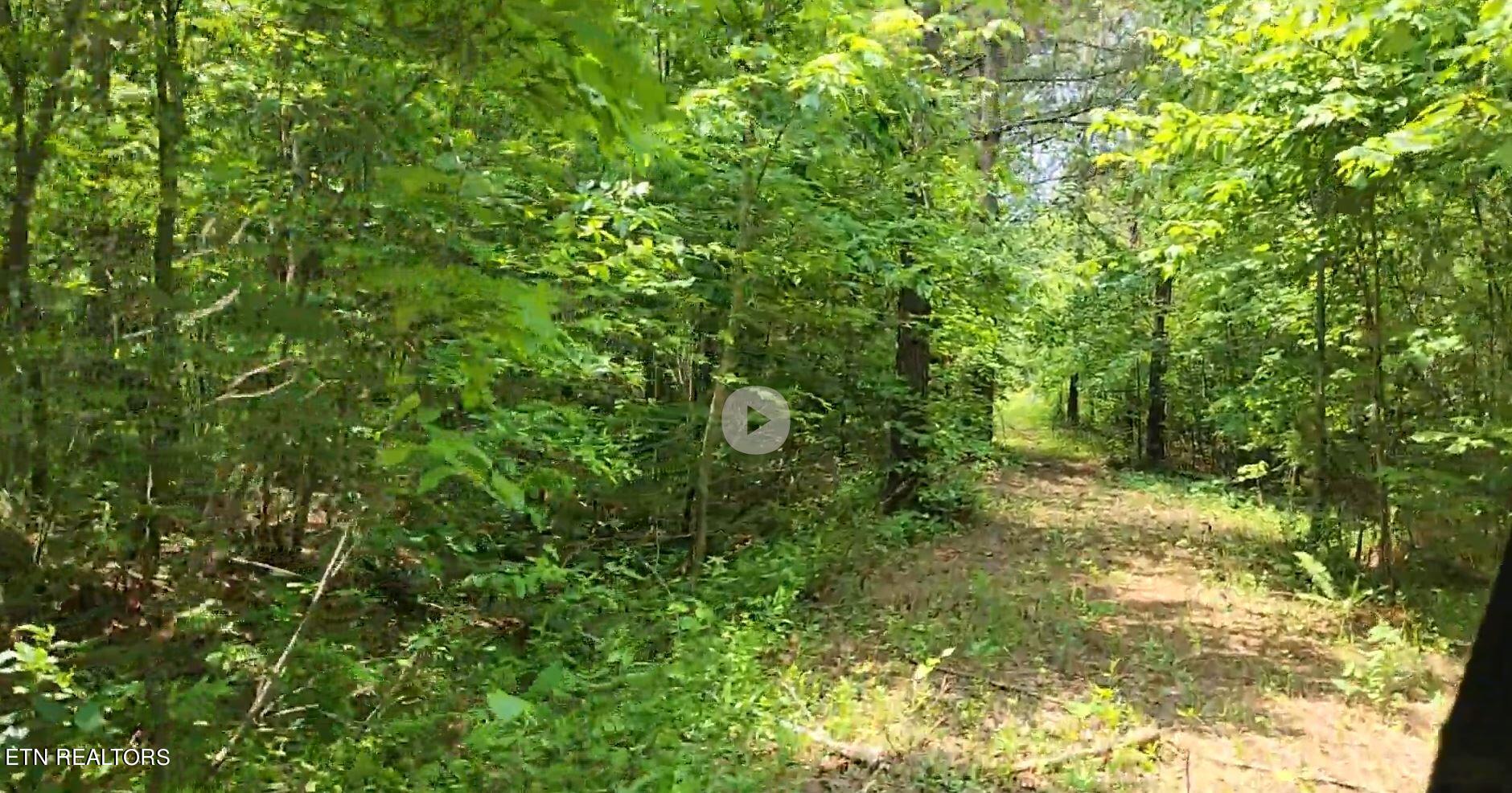 Lot 3 Off Of Old Rugby Pike Robbins, TN 37852 - Photo 5 of 5 Capture 2