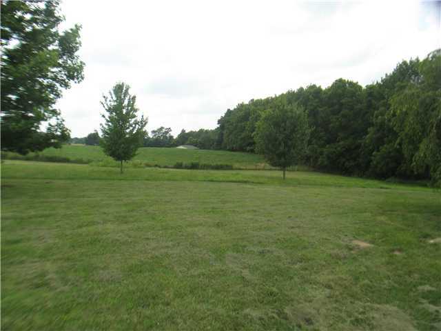3119 Prairie Road Wilmington, OH 45177 - Photo 7 of 9