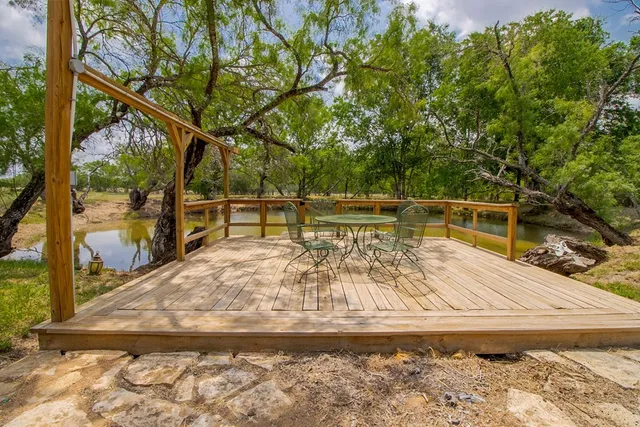 a view of a ocean with a trees