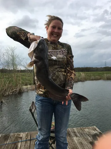 a view of balcony with furniture