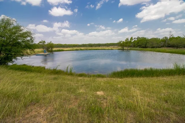 a view of a lake from a yard