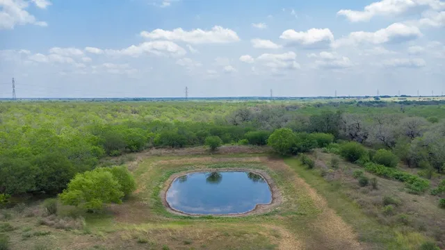 a view of a big yard with lots of green space