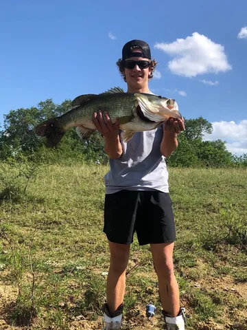 a water fountain in the middle of a garden