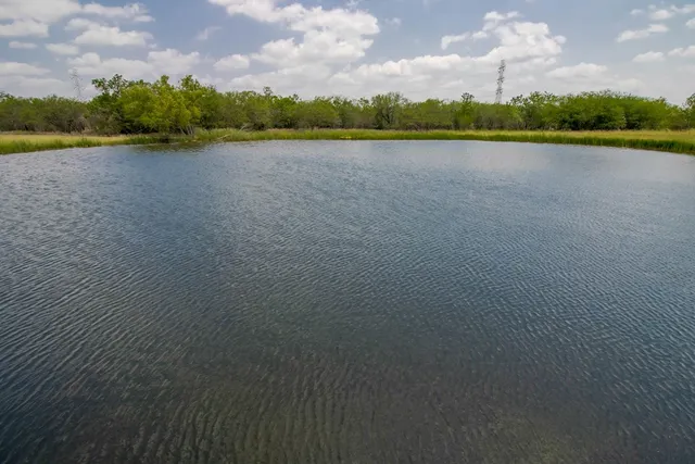 a view of lake and trees
