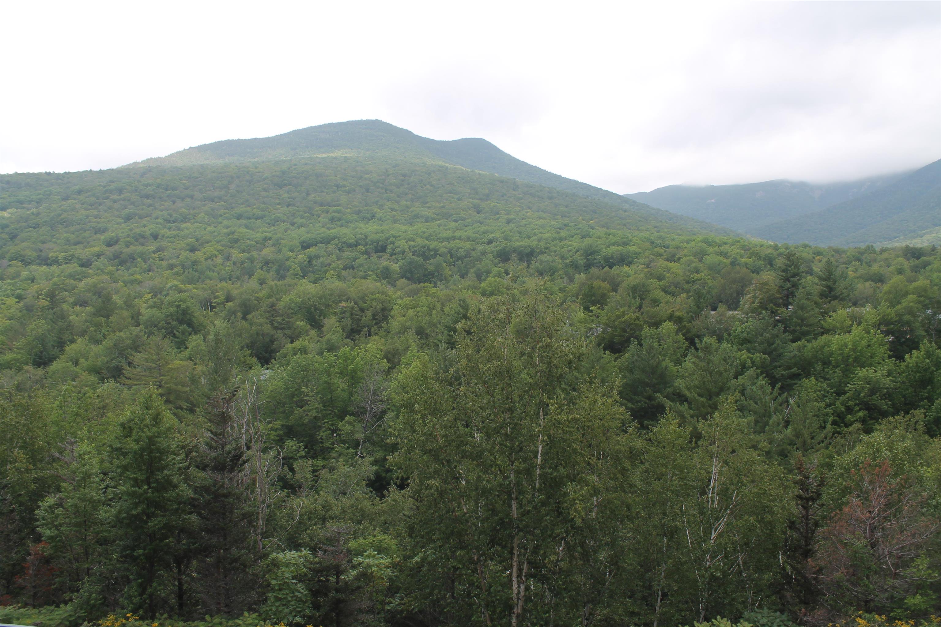 90 Loon Mountain Road, Unit 1133C Lincoln, NH 03251 - Photo 14 of 15