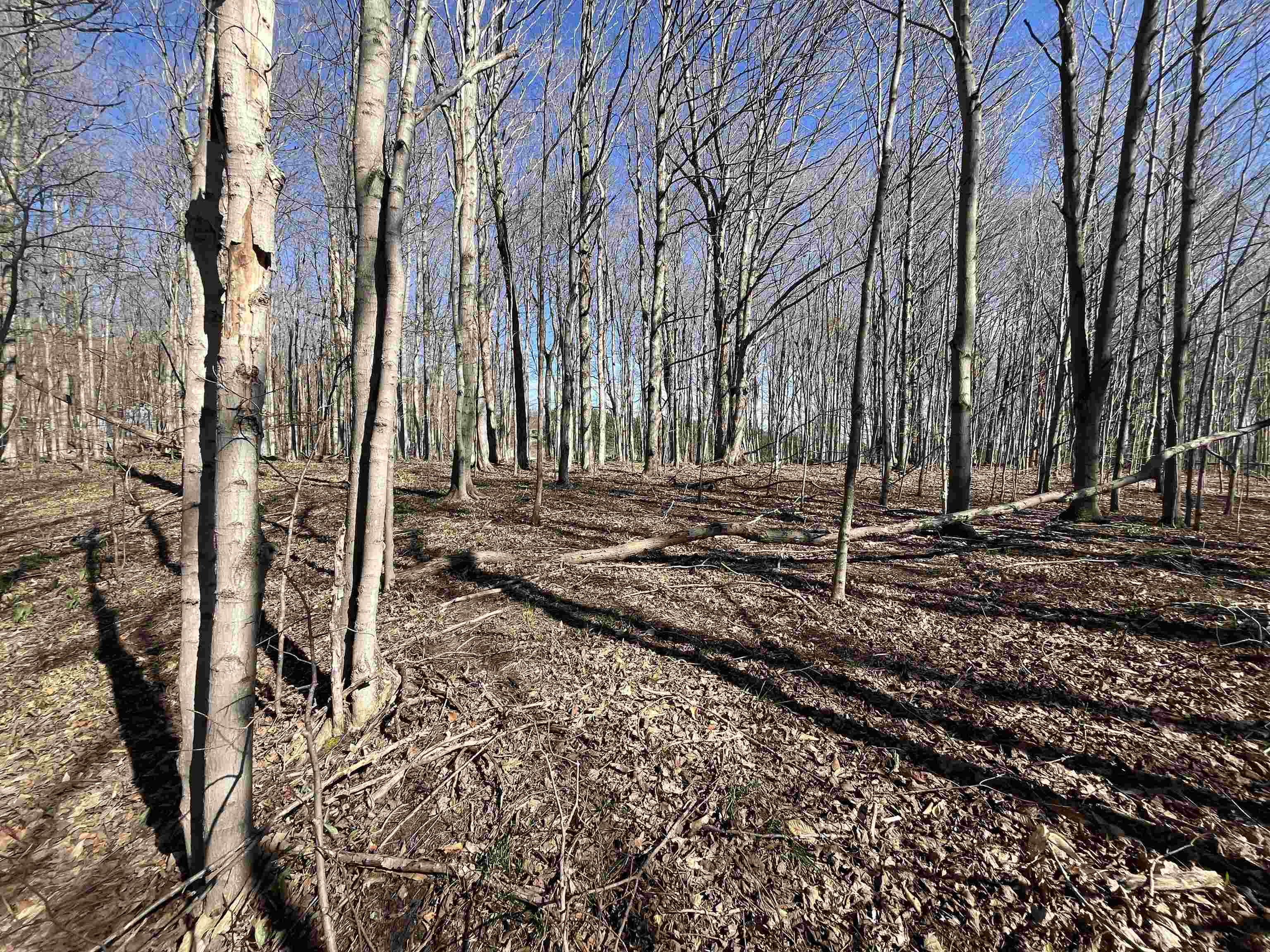 Parcel D Lobb Road Frankfort, MI 49635 - Photo 6 of 13