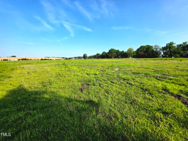 a view of an ocean from a yard