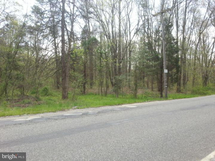 919 Whig Lane Road Glassboro, NJ 08028 - Photo 3 of 3 Gallery Image 3