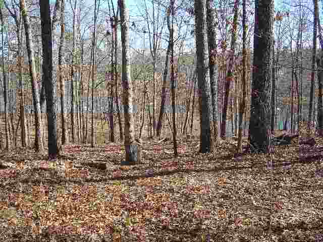 Lot 3 Crestview Seneca, SC 29672 - Photo 3 of 6 Gallery Image 3