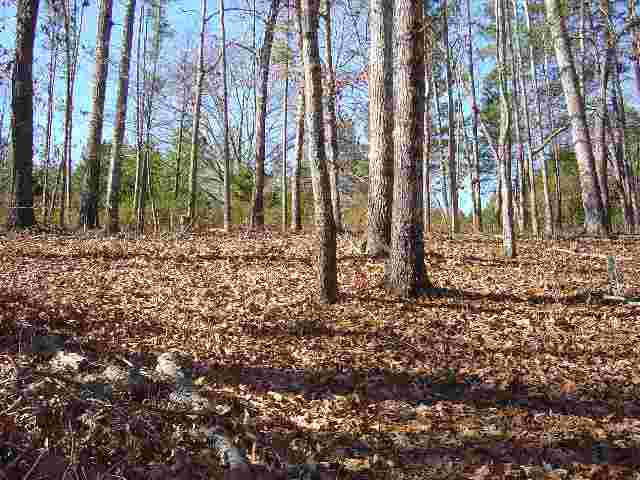 Lot 3 Crestview Seneca, SC 29672 - Photo 4 of 6 Gallery Image 4