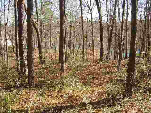 Lot 3 Crestview Seneca, SC 29672 - Photo 5 of 6 Gallery Image 5