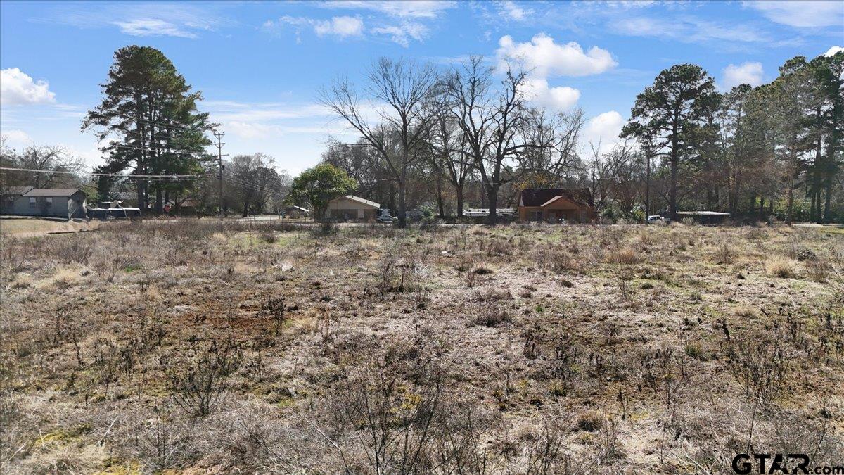 Lot 12 Ellis Street Rusk, TX 75785 - Photo 2 of 6 Gallery Image 2