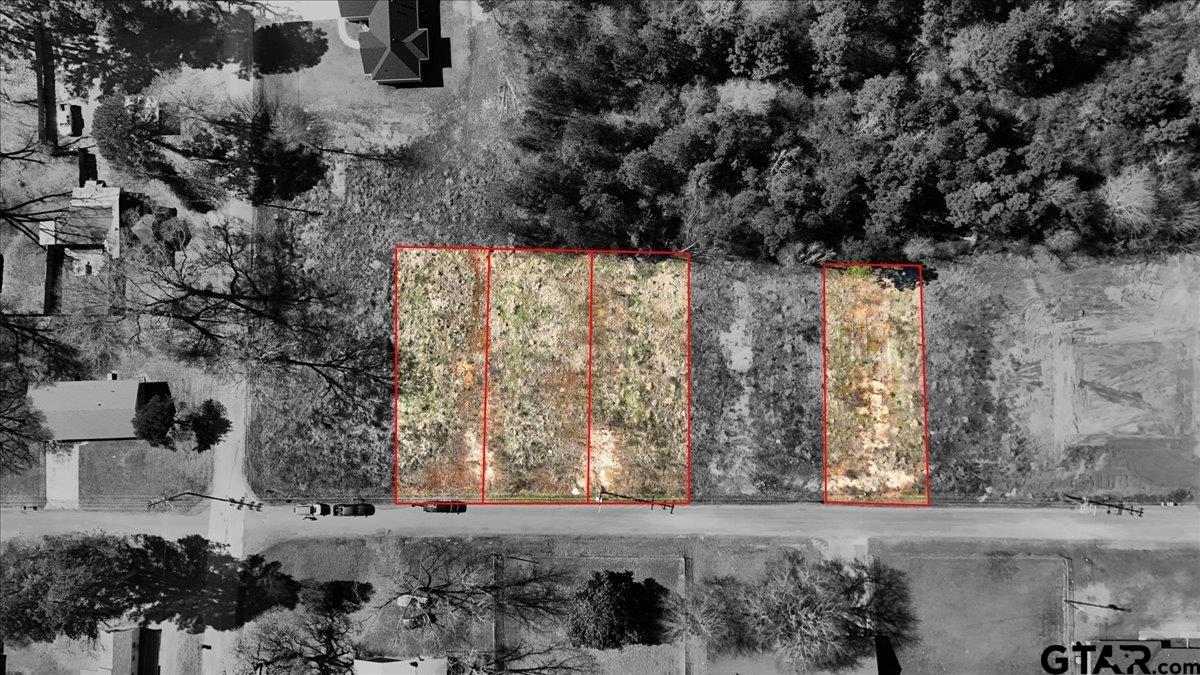 Lot 12 Ellis Street Rusk, TX 75785 - Photo 4 of 6 Gallery Image 4