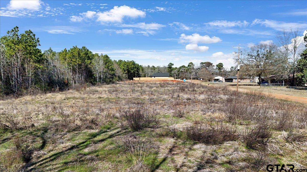 Lot 12 Ellis Street Rusk, TX 75785 - Photo 5 of 6 Gallery Image 5