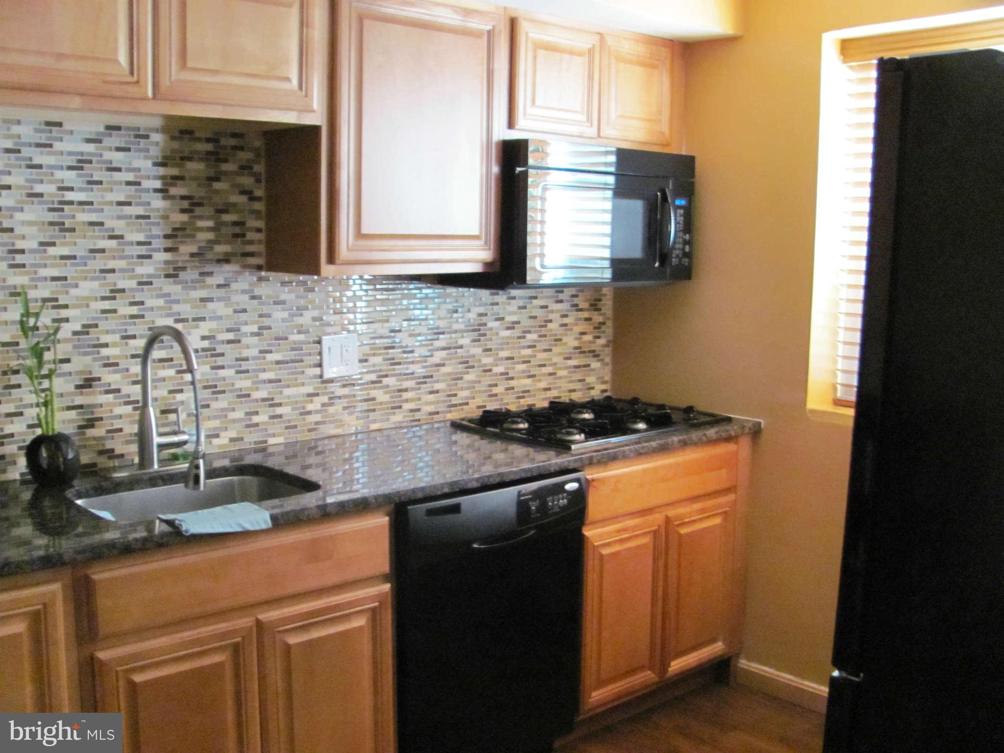 3960 Bel Pre Road, Unit 2 Silver Spring, MD 20906 - Photo 8 of 28 Kitchen