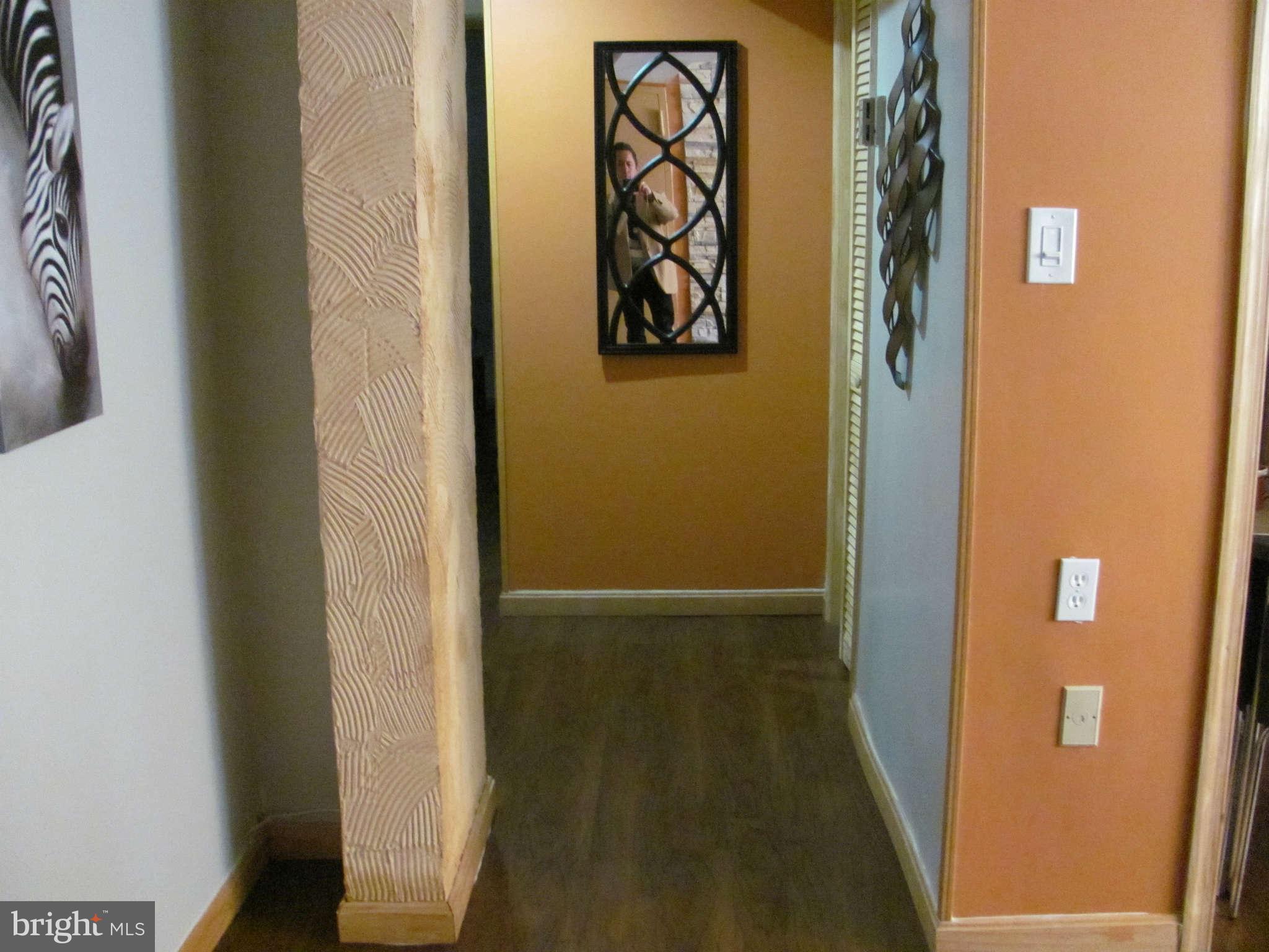 3960 Bel Pre Road, Unit 2 Silver Spring, MD 20906 - Photo 9 of 28 Hallway