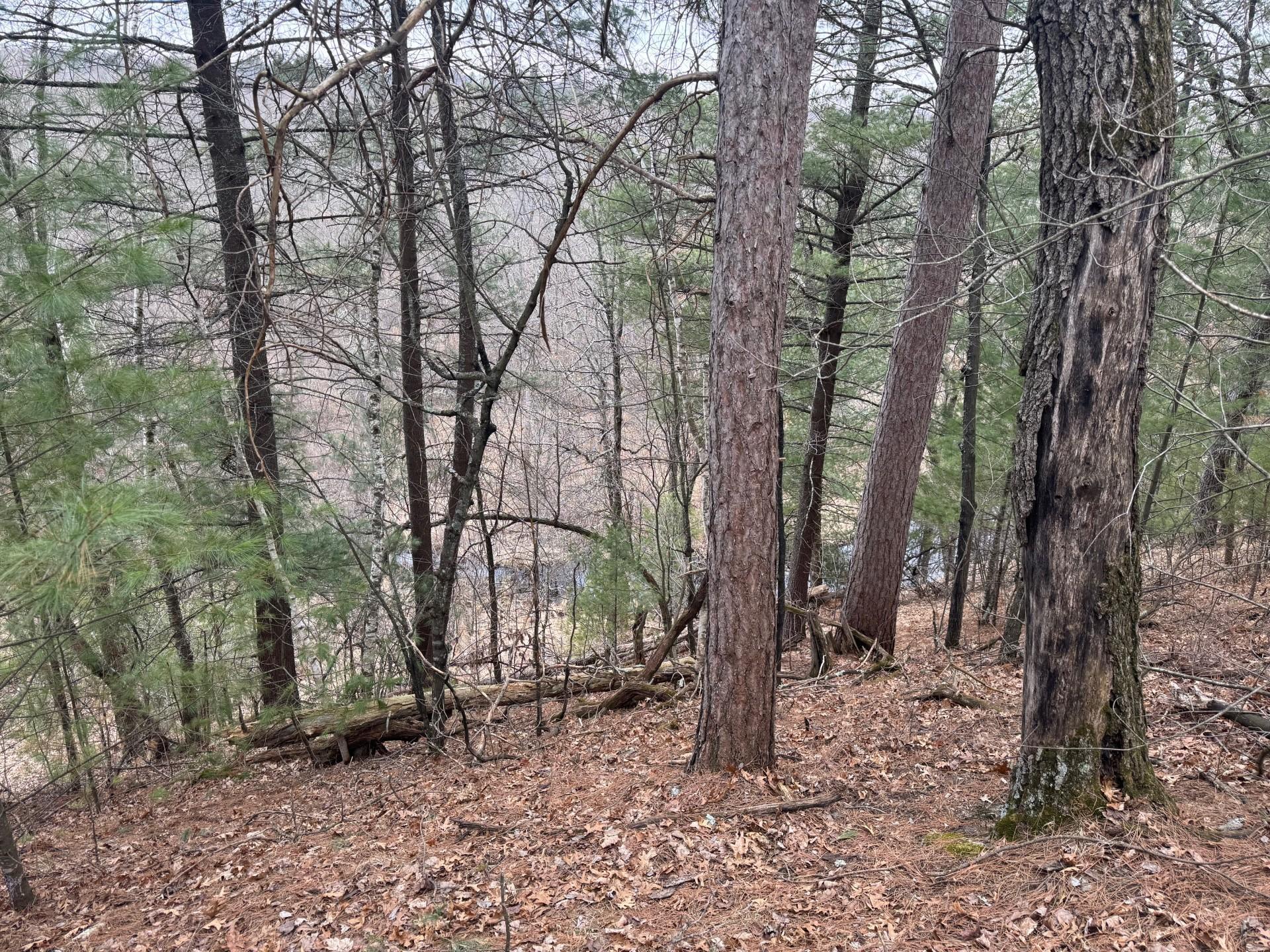 Tbd Helsene Road Webster, WI 54893 - Photo 11 of 28