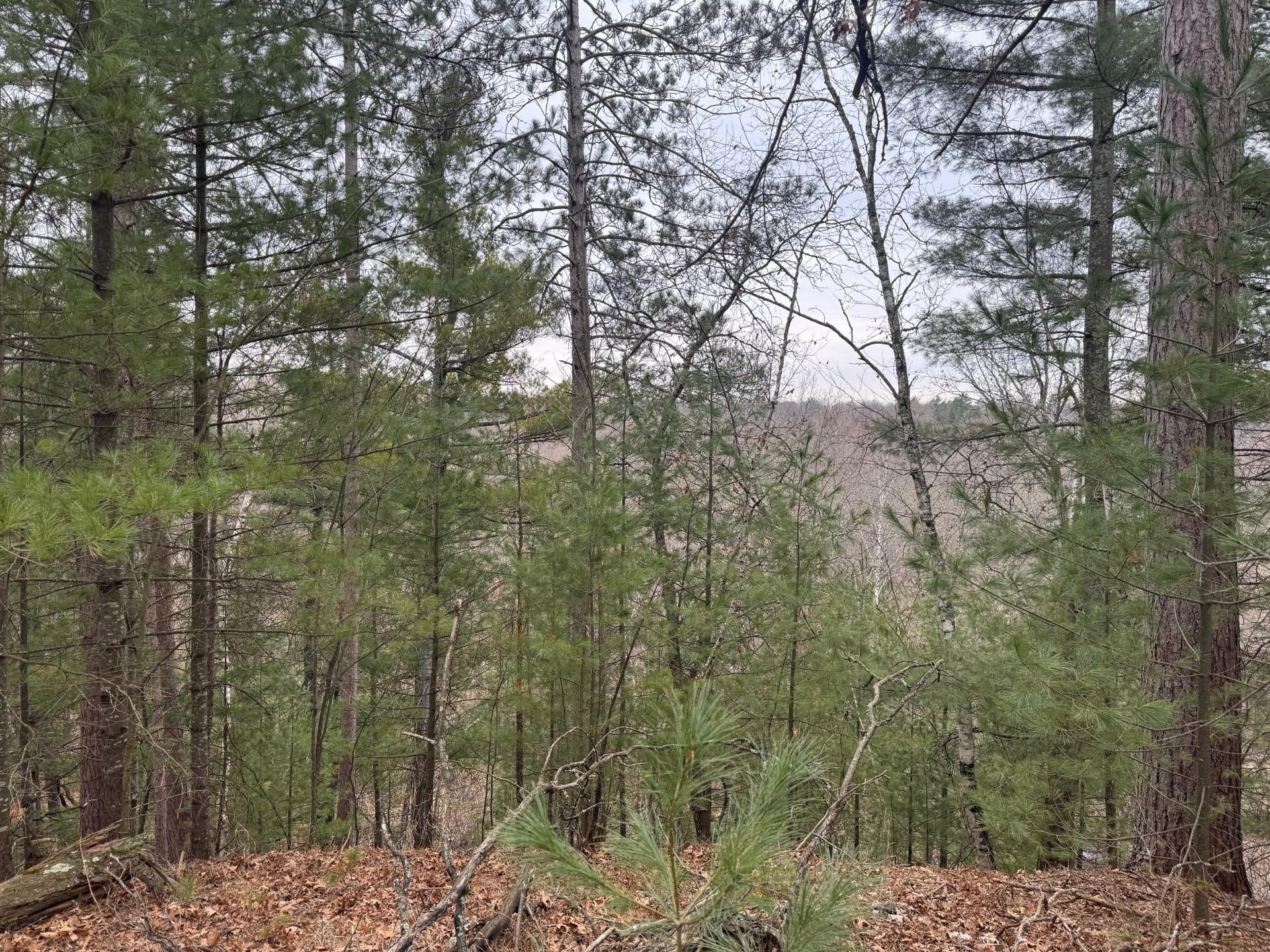 Tbd Helsene Road Webster, WI 54893 - Photo 12 of 28